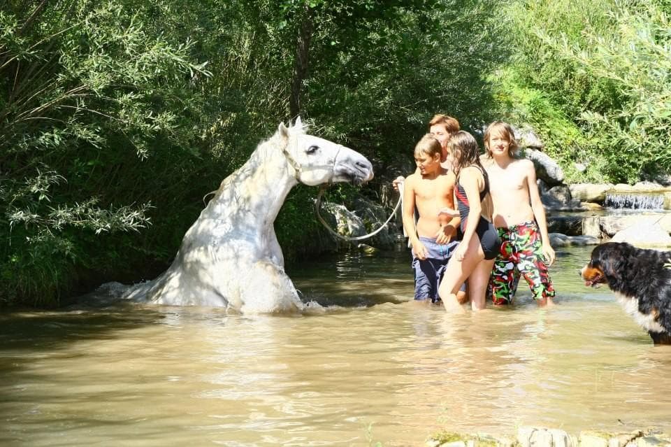 KONJENIŠKA KMETIJA BISTRA, ŠENTRUPERT