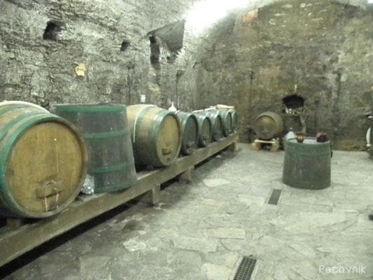 VINOGRADNIŠTVO PEČOVNIK, JOŽE PEČOVNIK, SLOVENSKA BISTRICA