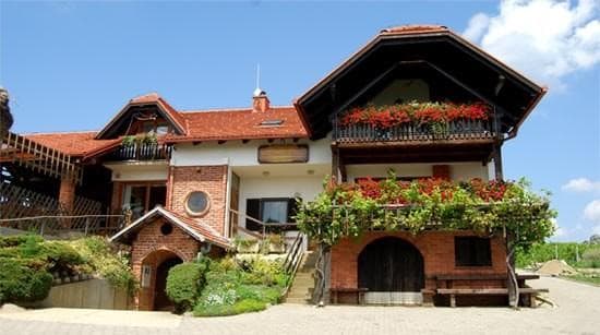 TURISTIČNA KMETIJA IN VINSKA KLET PUHAN, BOGOJINA