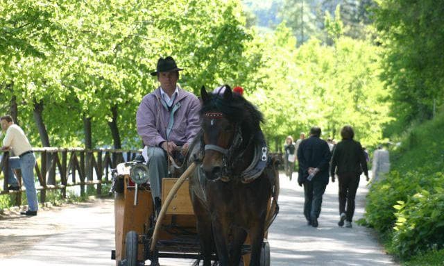 GOSTIŠČE S PRENOČIŠČI PRI DVEH PETELINIH, BLED