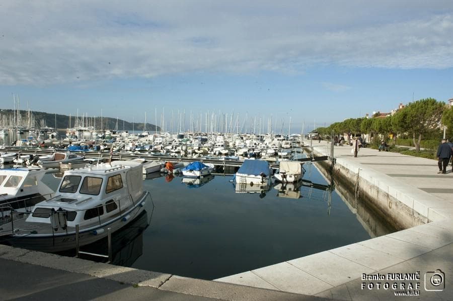 BAR LONKA, IZOLA