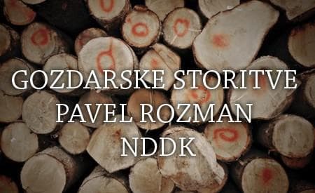 GOZDARSKE STORITVE PAVEL ROZMAN NDDK, TRŽIČ