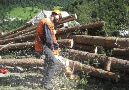 GOZDARSKE STORITVE PAVEL ROZMAN NDDK, TRŽIČ