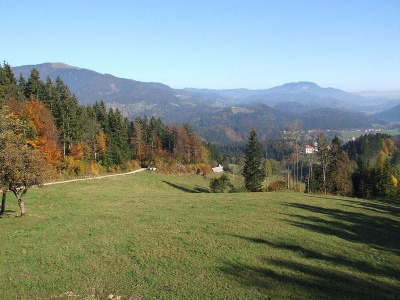 TURISTIČNA KMETIJA PETEK, GORNJI GRAD