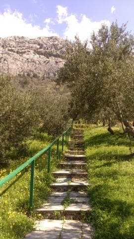 VILA OLIVETA, SPLIT
