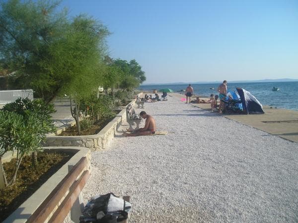 APARTMAJI BARIĆ, VIR