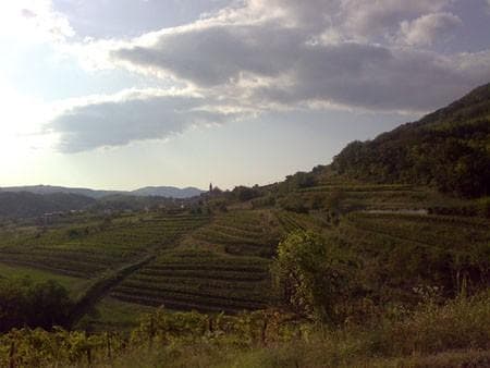 KMETIJA POLJŠAKOVA BRAJDA, ŠMARJE