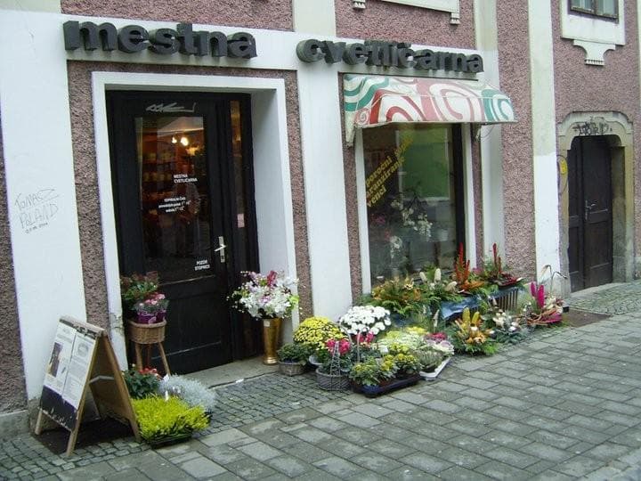 SONČNICA, MESTNA CVETLIČARNA, MARIBOR