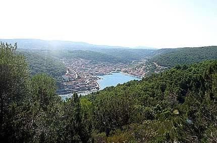 APARTMAJI MLADINIĆ IN ROBINZON HIŠA SWEAT DREAMS, BRAČ