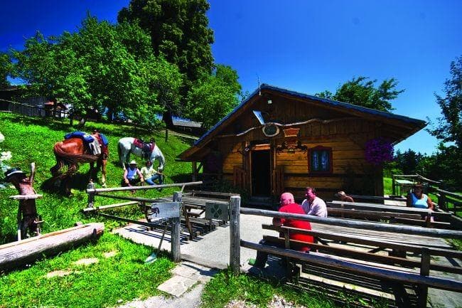 IZLETNIŠKA KMETIJA PETRE, VITANJE