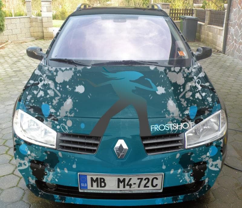 EMA, IZDELAVA SAMOLEPILNIH NALEPK IN GRAFIČNA POSLIKAVA VOZIL, MATEJ BELAK S.P., CELJE