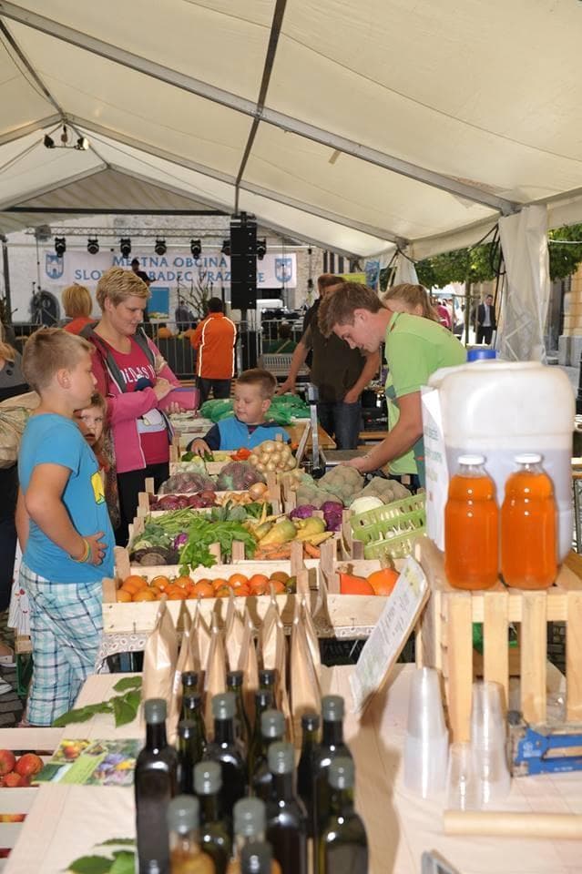 BIO KIS, BIO PRIDELKI, ZELENJAVA, OLJA, EKOLOŠKA ŽIVILA, BIO ŽIVALI IN ZELIŠČA, BIO KMETIJA RŽEN, ŠE