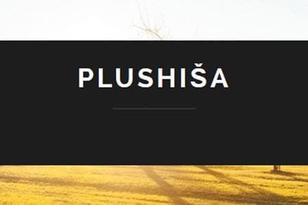 PLUS HIŠA INŽENIRING, VIPAVA cover