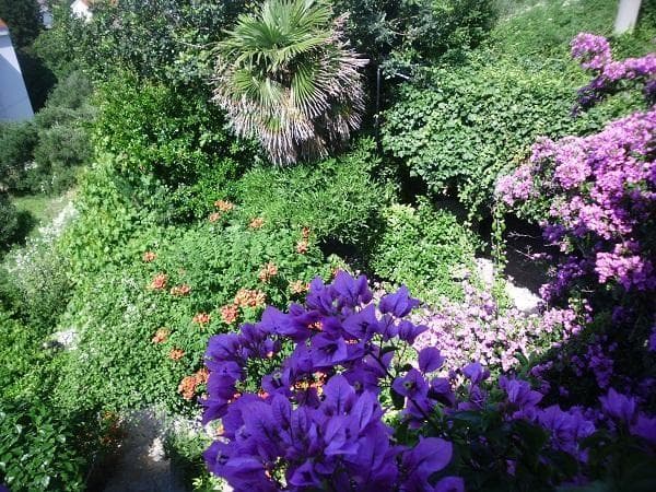 APARTMAJI MANUELA, RAB