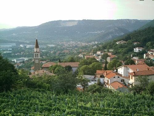 KMETIJA ANDREJ KOSMAC, SAN DORLINGO DELLA VALLE