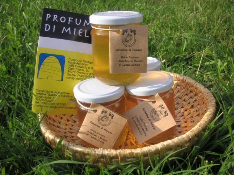 BIO KMETIJA ALTURE DI POLAZZO, FOGLIANO REDIPUGLIA