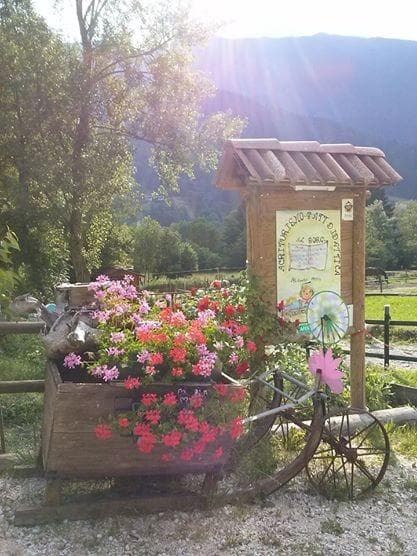 TURISTIČNA KMETIJA AL BORG, PALUZZA
