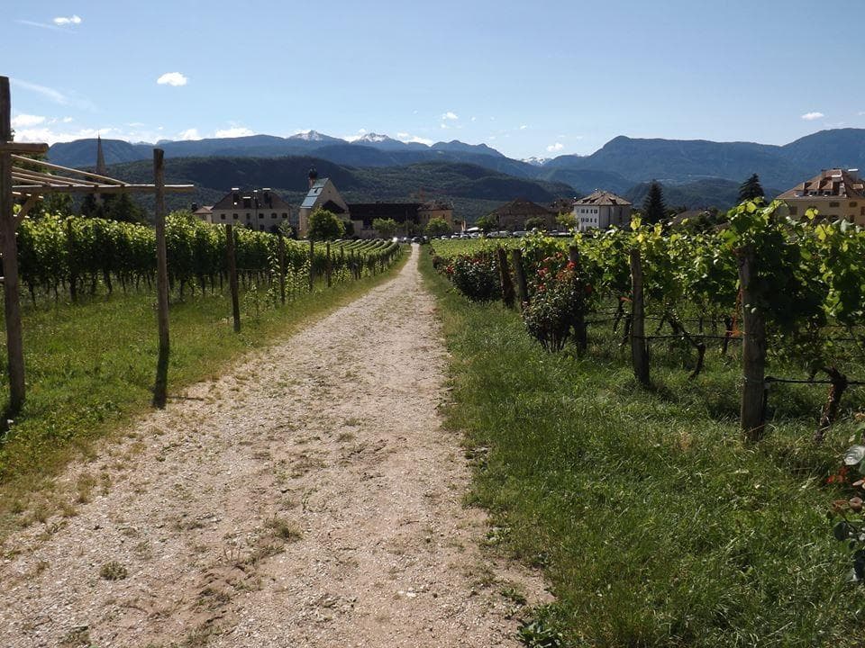 GRAD SALLEGG, CALDARO