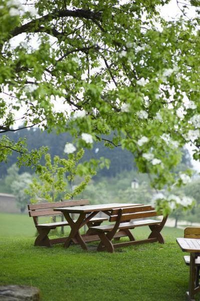 TURISTIČNA KMETIJA RAVNJAK, SLOVENJ GRADEC
