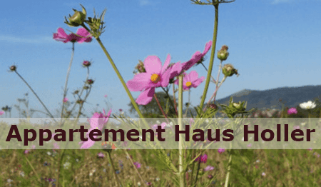 APARTMA HOLLER, ST. GEORGEN AM KREISCHBERG