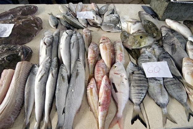 RIBARNICA ZLATA RIBICA, PORTOROŽ