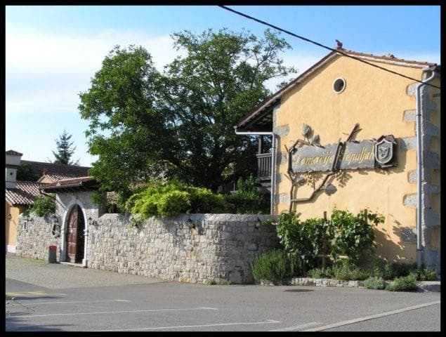 DOMAČIJA ŠAJNA, SEŽANA