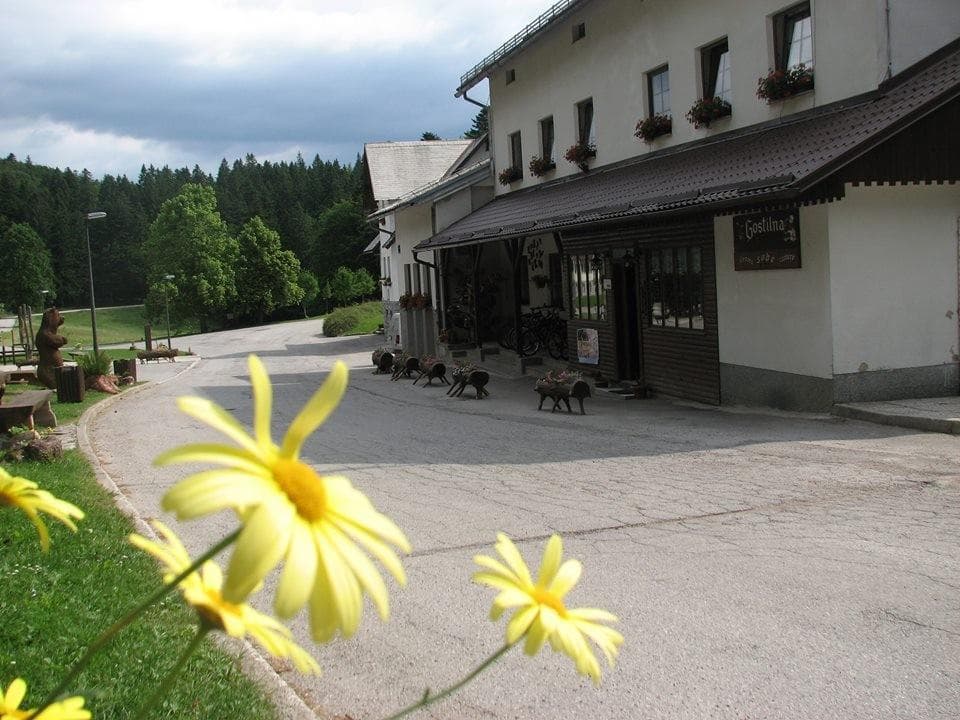 NOČITVE, SOBE, PROSTOR ZA PIKNIK, APARTMA - GOSTIŠČE MAŠUN, KNEŽAK