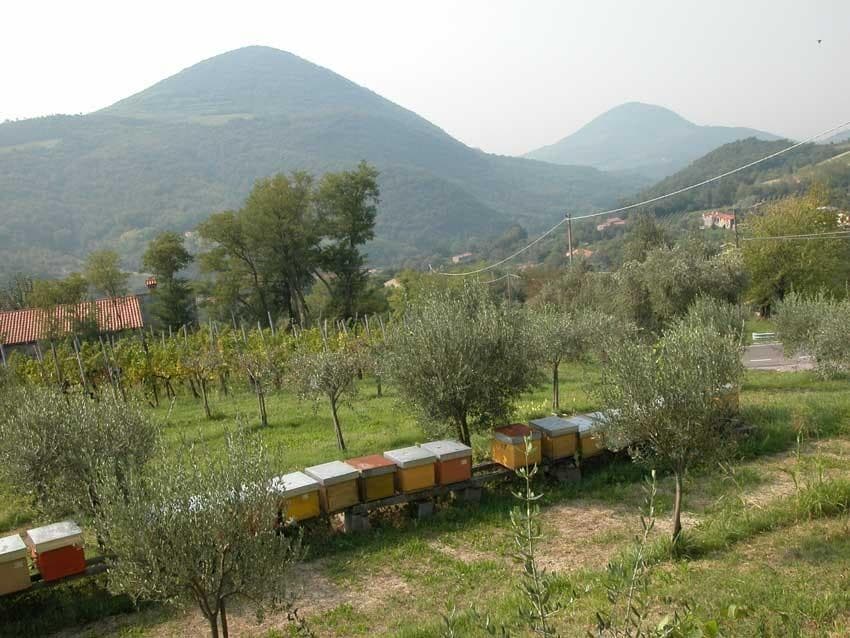 TURISTIČNA KMETIJA LA CAMPAGNOLA, CINTO EUGENEO
