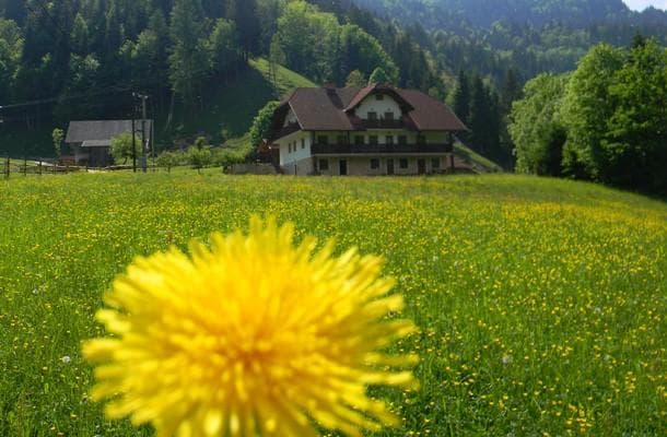 TURISTIČNA KMETIJA AMBROŽ-GREGORC, SOLČAVA