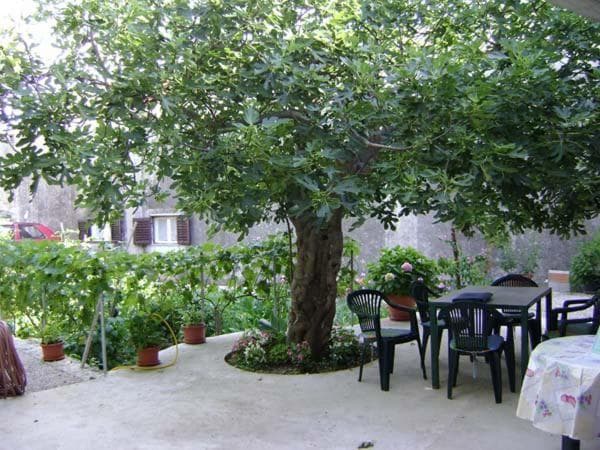 APARTMAJI ANA, PETRČANE