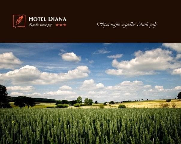 HOTEL DIANA, MURSKA SOBOTA