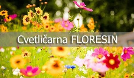 CVETLIČARNA FLORESIN, TANJA HOLC, PTUJ