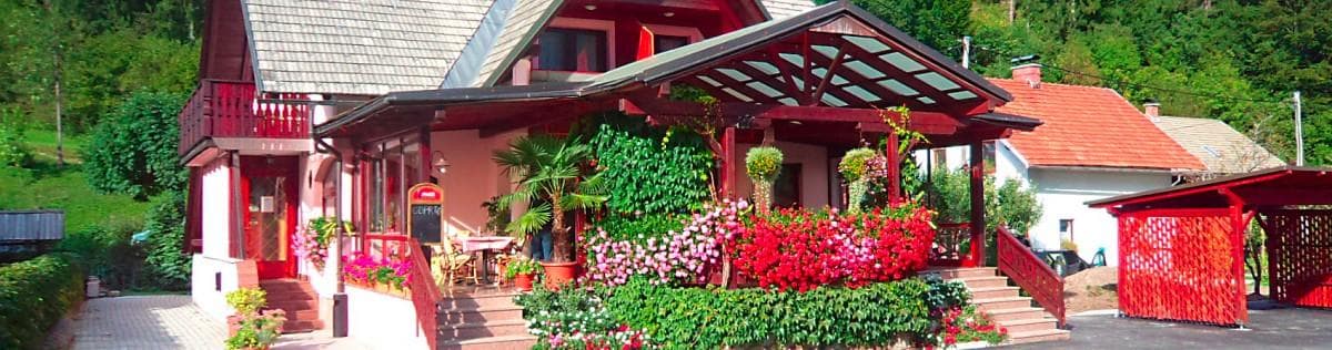 RESTAVRACIJA VILLA ROZA, MOJSTRANA