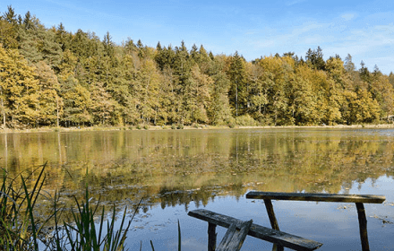 RIBOGOJNIŠTVO MERIBA, MITJA MEGLIČ S.P., TRŽIČ