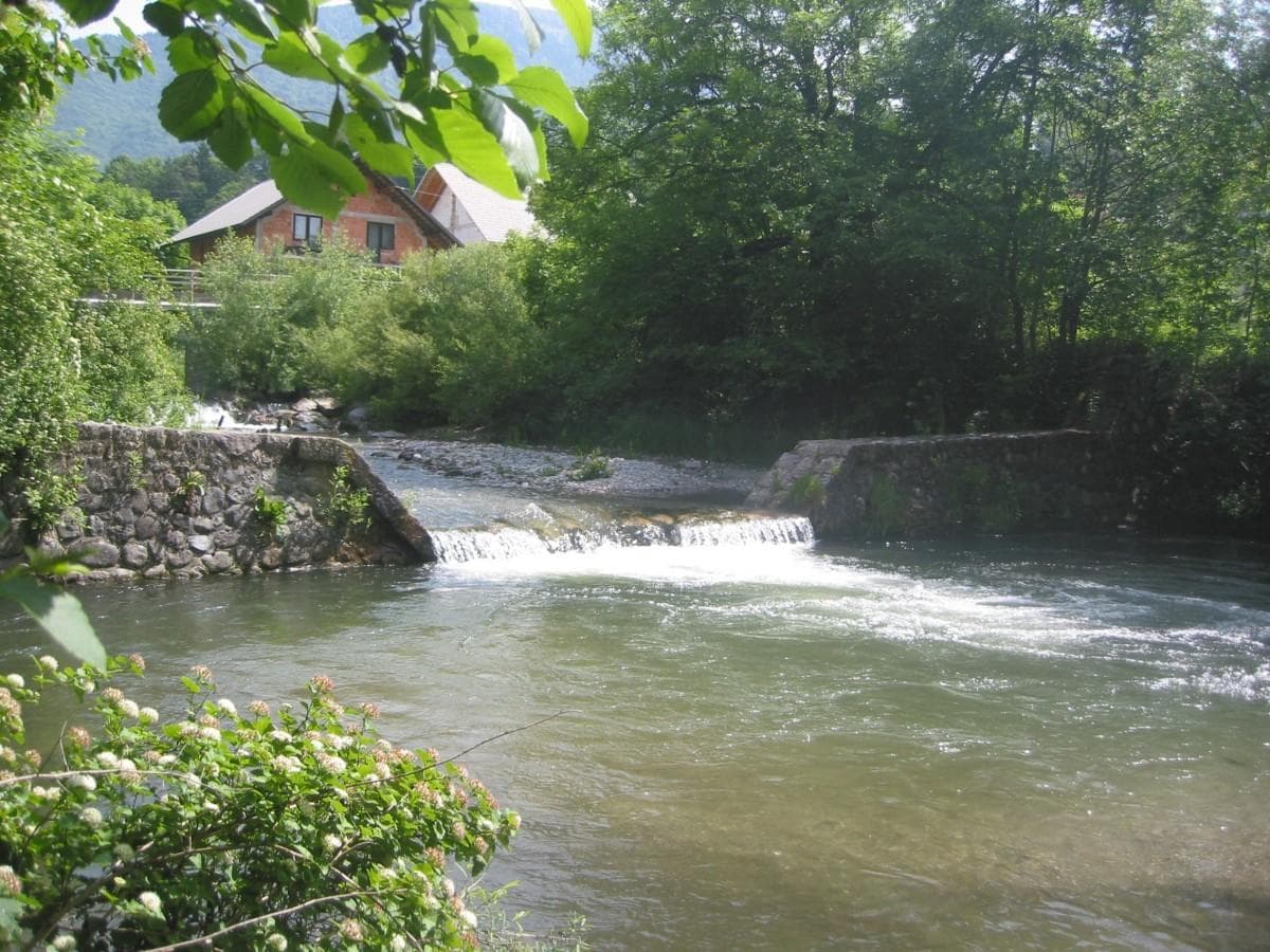 RIBOGOJNIŠTVO MERIBA, MITJA MEGLIČ S.P., TRŽIČ