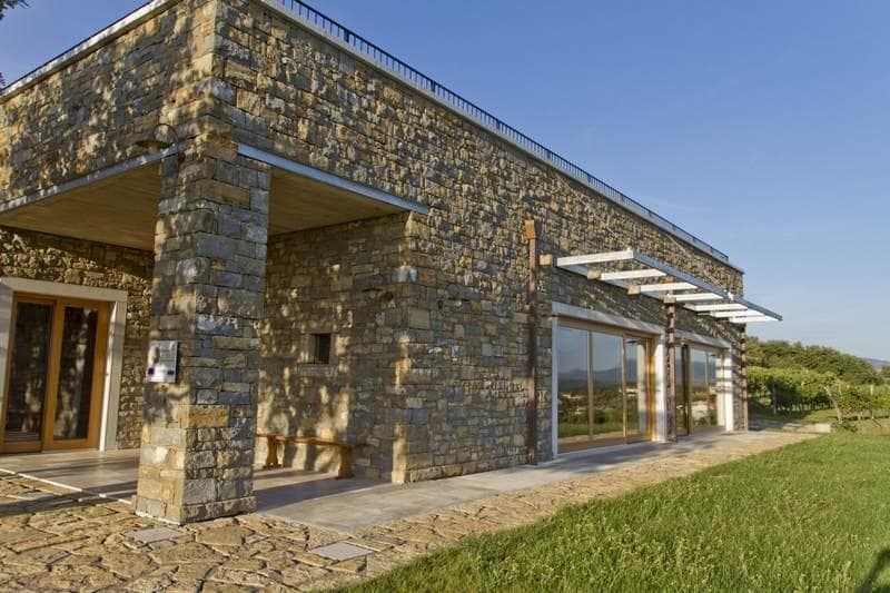 EKOLOŠKA VINOGRADNIŠKA KMETIJA RODICA, EKOLOŠKO VINO RODICA , MAREZIGE