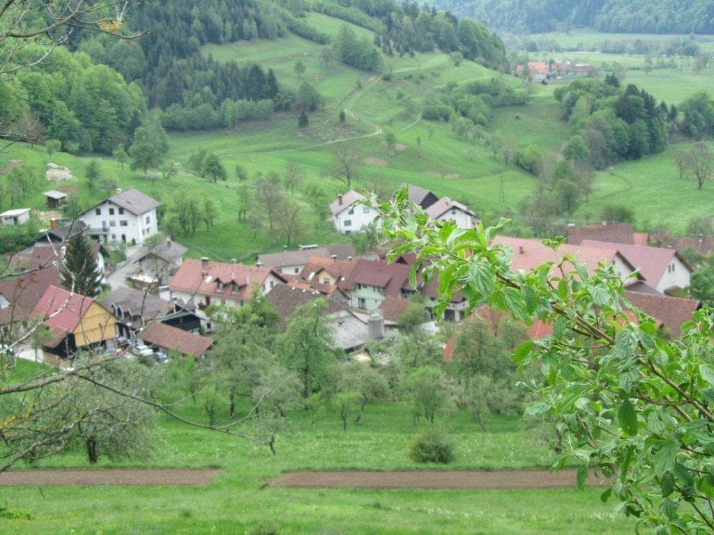 EKOLOŠKA KMETIJA LAŠKAR, BOROVNICA