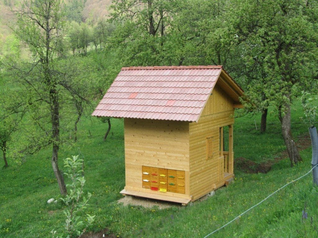 EKOLOŠKA KMETIJA LAŠKAR, BOROVNICA