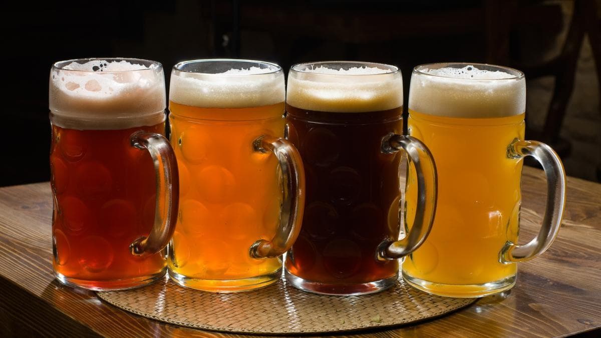 Bar Extaza, CERŠAK