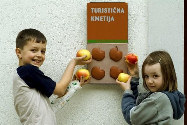 TURISTIČNA KMETIJA GOVC, VRŠNIK, PENZION
