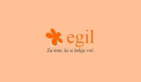 PRODAJA GOSTINSKE OPREME EGIL, MENGEŠ