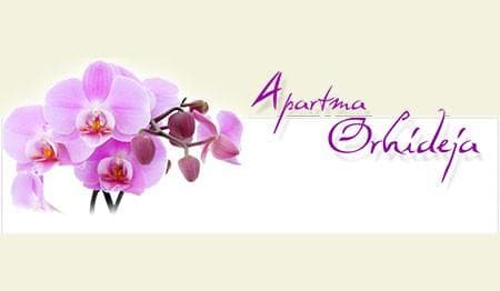APARTMAJI APARTMENTS TOLMIN