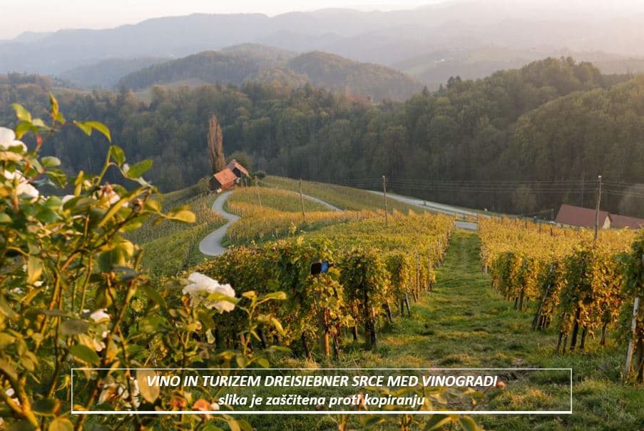 VINO IN TURIZEM DREISIEBNER, ZGORNJA KUNGOTA