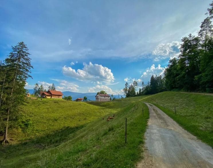 APARTMAJI LOVRENC NA POHORJU