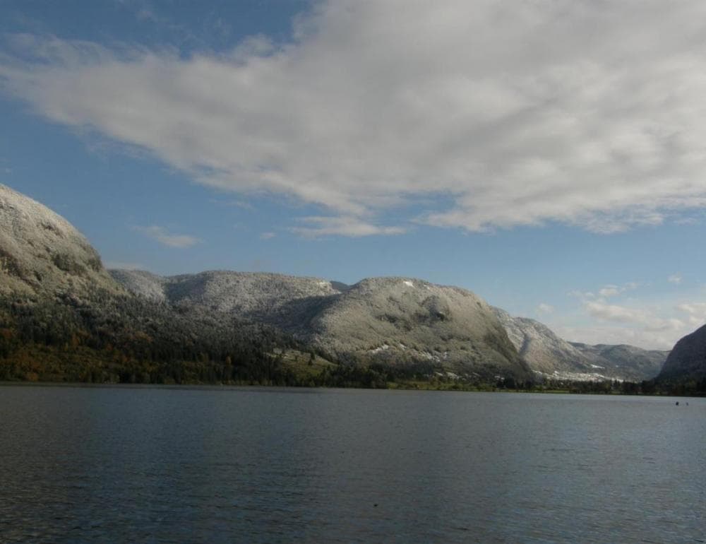 APARTMAJI, SOBE BOHINJ BOHINJSKO JEZERO