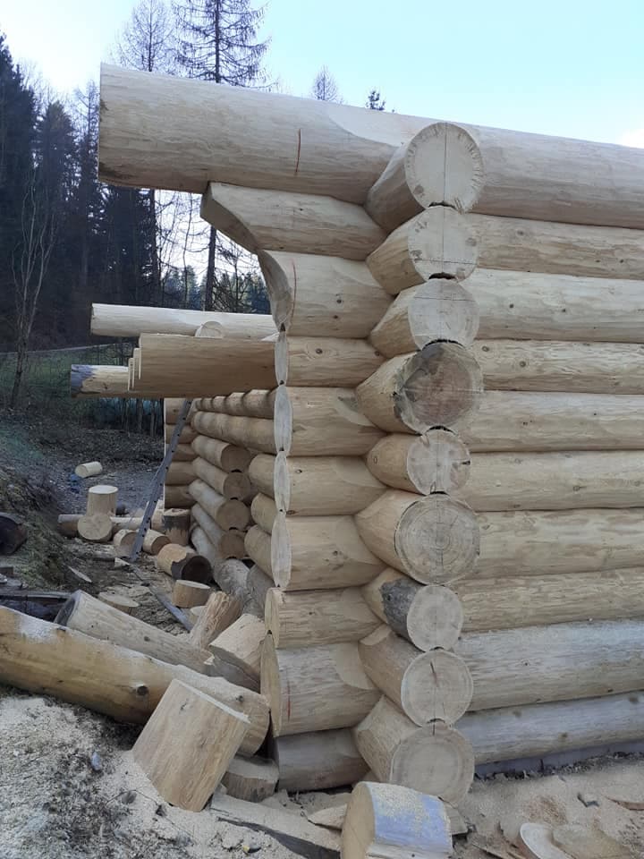 BRUNARICA IZ OKROGLEGA LESA