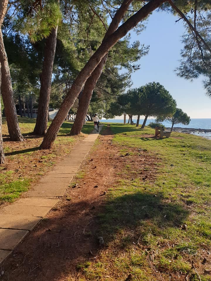 BUNGALOVI NOVIGRAD HOSTEL APARTMAJI PINESTA NOVIGRAD HRVAŠKA