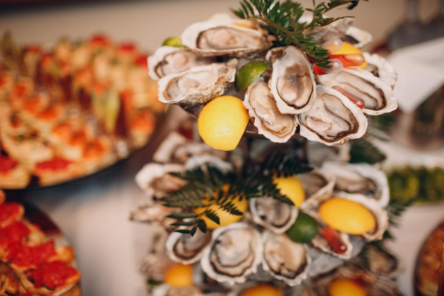 CATERING KOPER, OBALA, Skipper Emil Horvat s.p.