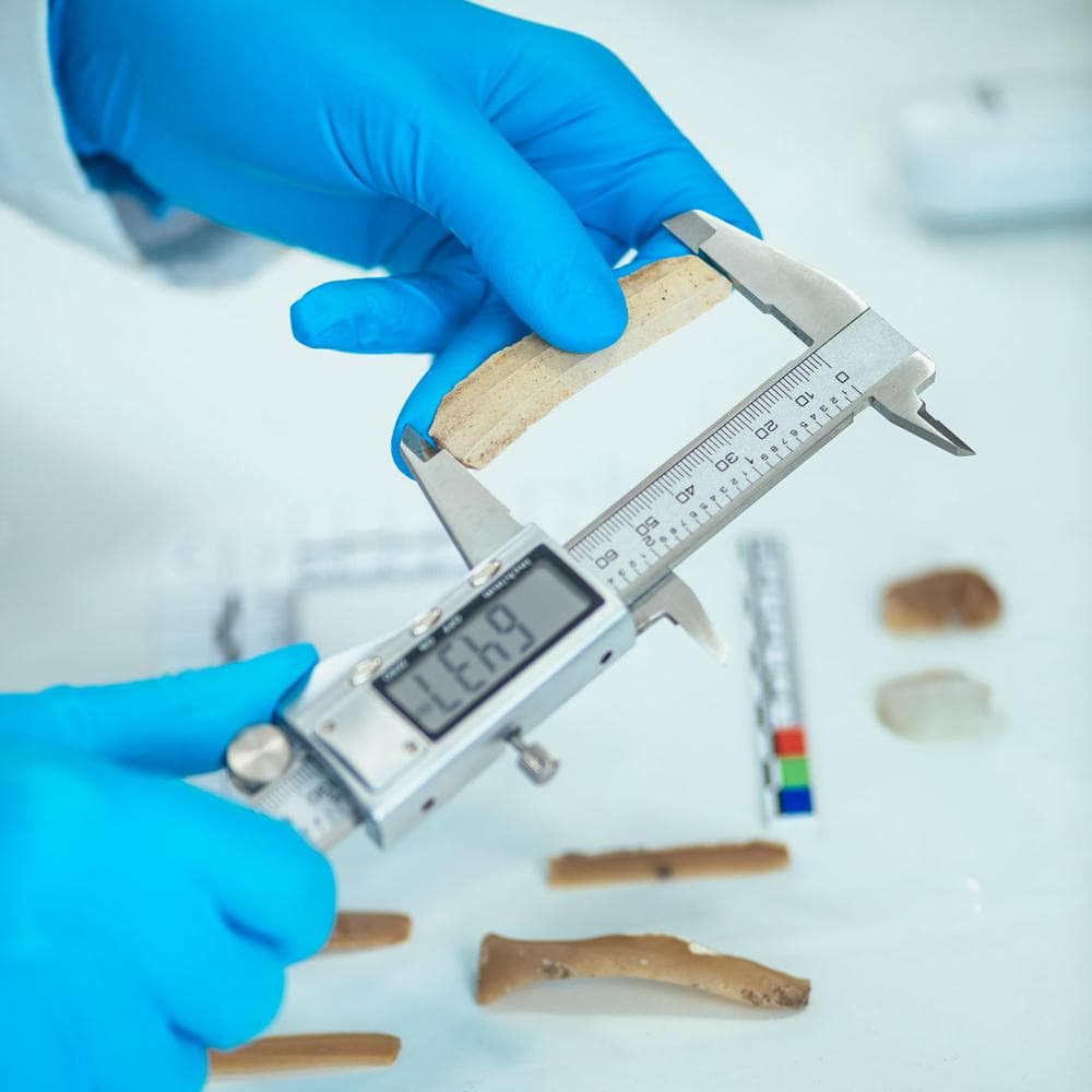 CHEMASS, LABORATORIJSKI MERILNI SISTEMI, LJUBLJANA
