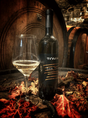 DEGUSTACIJA VIN V VINSKI KLETI VIPAVSKA DOLINA